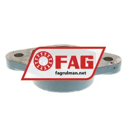 FAG FL16209-111 rulman resim 2