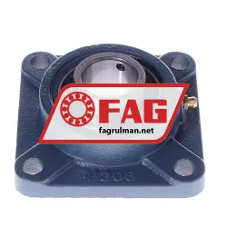 FAG F56206