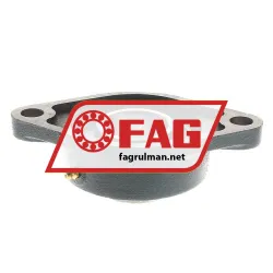 FAG FL56209 rulman resim 2