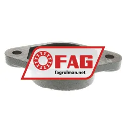 FAG FGB16210-115 rulman resim 2