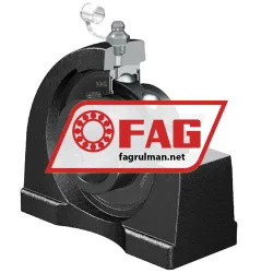 FAG PA56207 rulman resim 2