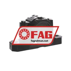FAG SES209-L