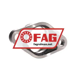FAG GEHFL206-GG rulman resim 3