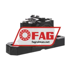 FAG SES206-305-L
