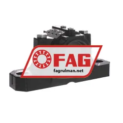 FAG SES206-305-L rulman resim 2