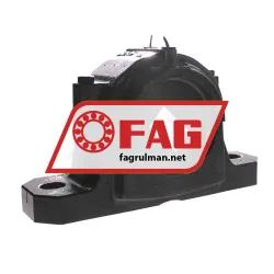 FAG SES217-L