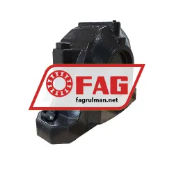 FAG SES622-322-L rulman resim 2