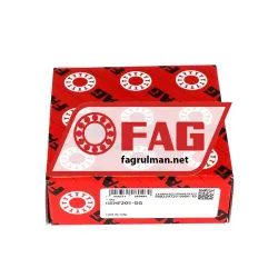 FAG GEHF205-GG rulman resim 2