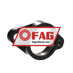 FAG GEHFL209-GG