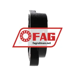 FAG GEHFL209-GG rulman resim 2