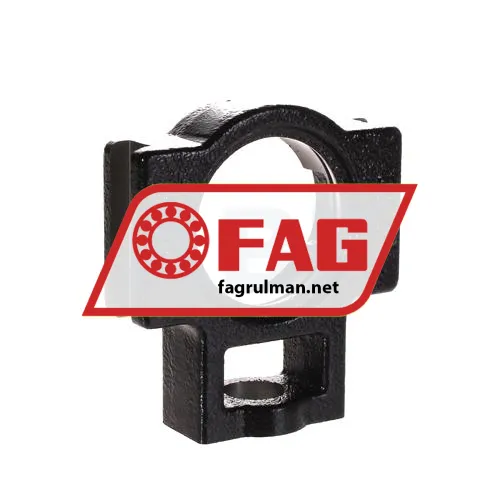 FAG GEHT205-GG
