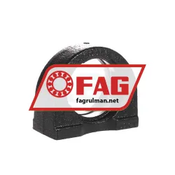 FAG GEHPA205-GG