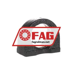 FAG GEHPA205-GG rulman resim 3