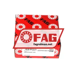 FAG GEHPA205-GG rulman resim 4