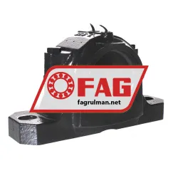 FAG SES213-L rulman resim 2