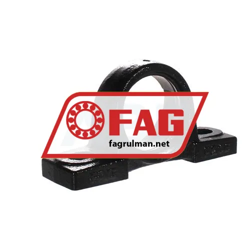 FAG GEHP206-GG