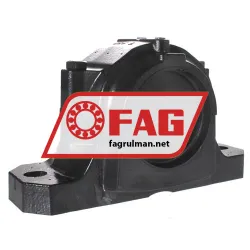 FAG SES218-L rulman resim 2