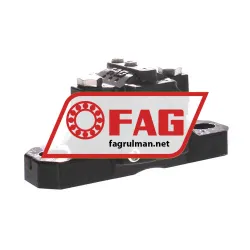 FAG SES205-L
