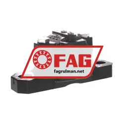 FAG SES205-L rulman resim 2
