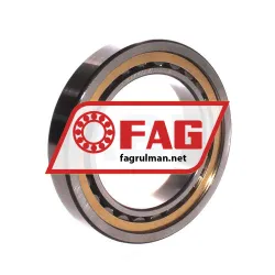 FAG GEHT207-GG rulman resim 2