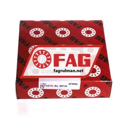 FAG GEHT207-GG rulman resim 4