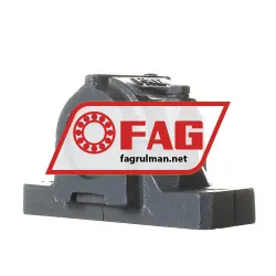 FAG SNG509
