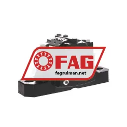 FAG SES207-L