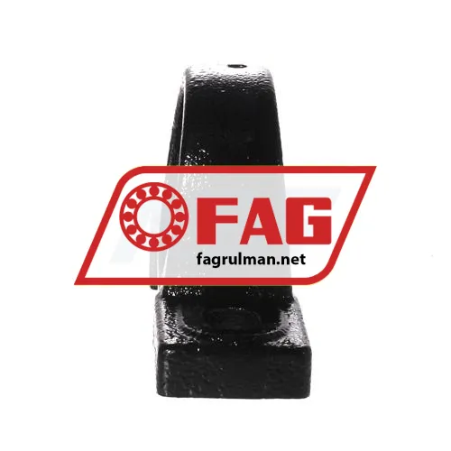 FAG GEHP205-GG ürün fotoğrafı 2