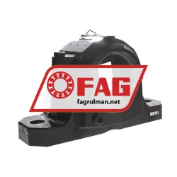 FAG SES216-L