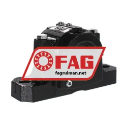 FAG SES509-L