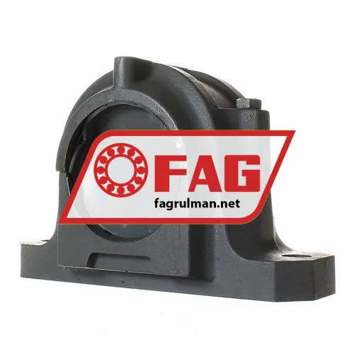 FAG SNV170