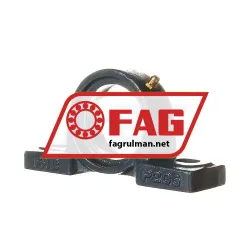 FAG P205
