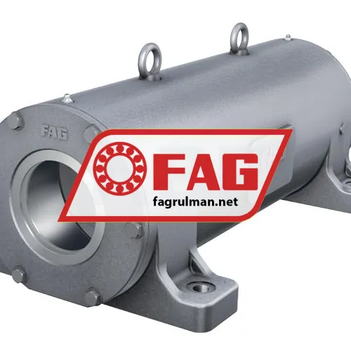 FAG VR319-C