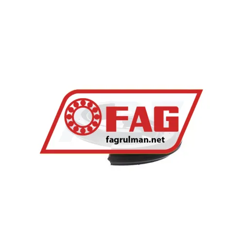 FAG DH308