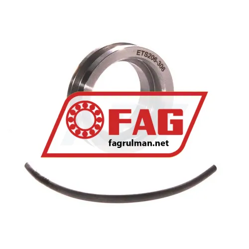 FAG ETS206-306
