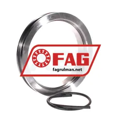 FAG TSV219
