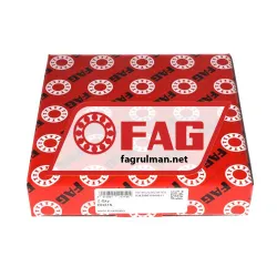FAG DH315 rulman resim 2