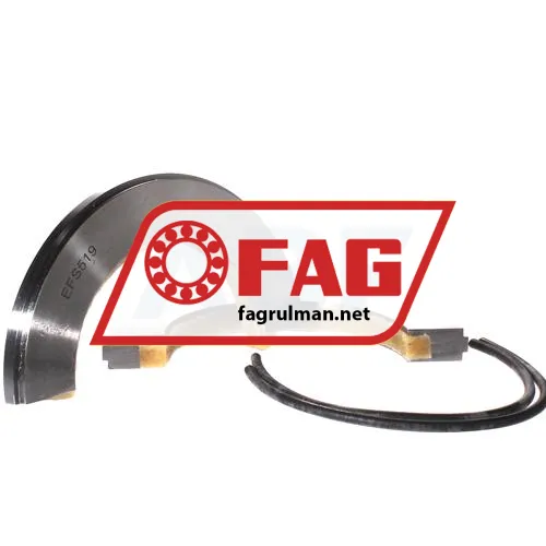 FAG EFS519