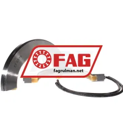 FAG EFS519