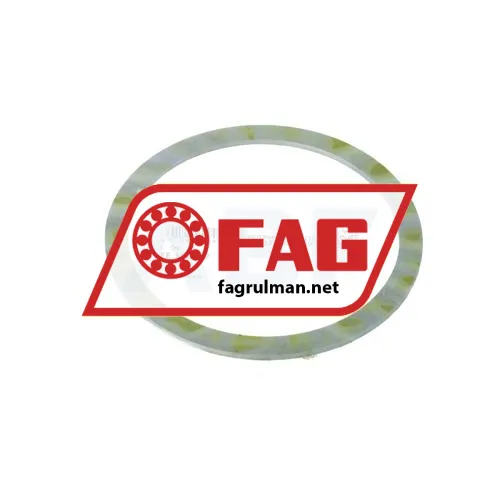 FAG FE100/2