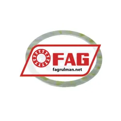 FAG FE100/2