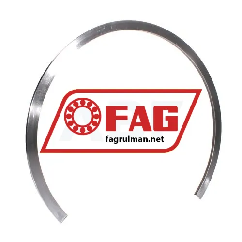 FAG NFR310/6