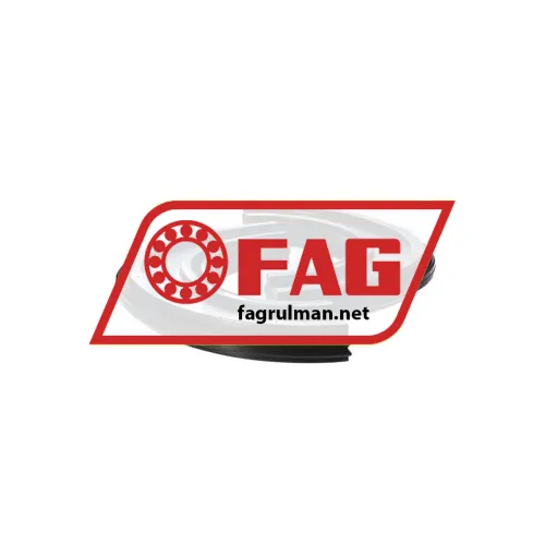 FAG DH619