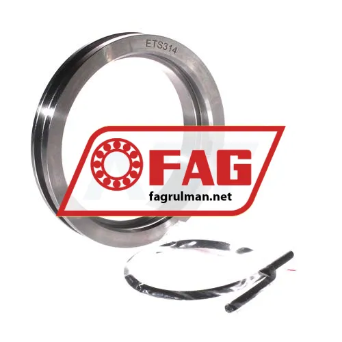 FAG ETS314