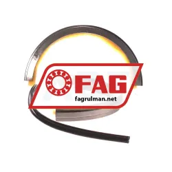 FAG FSV217