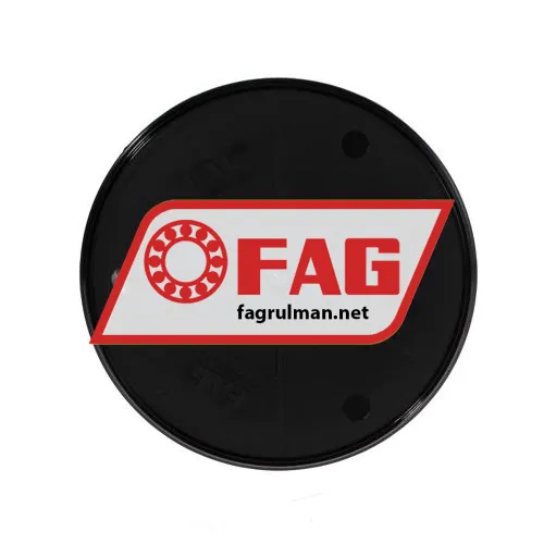 FAG DKV170