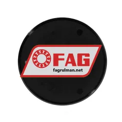 FAG DKV170