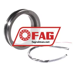 FAG ETS209-309