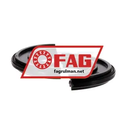 FAG DH610