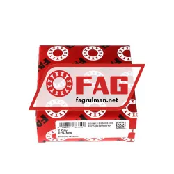 FAG EDH509 rulman resim 2